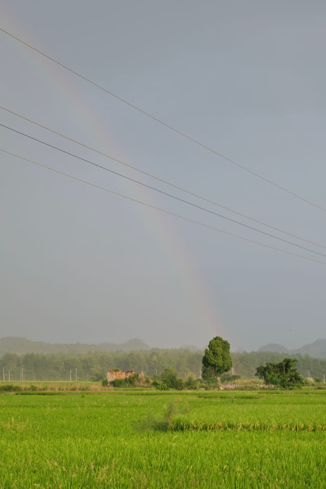 乡间彩虹