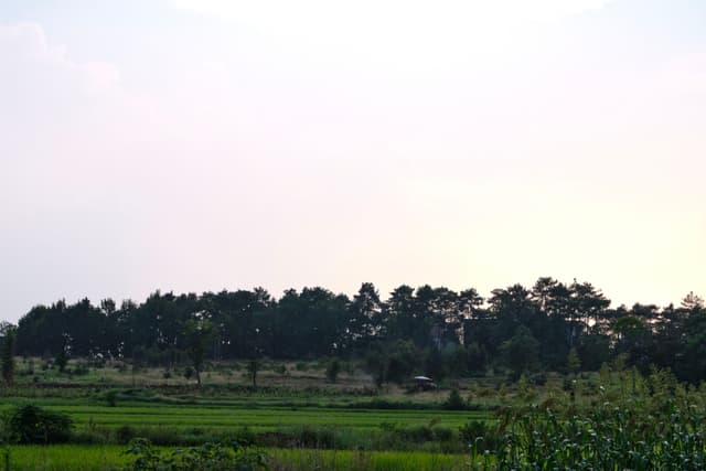 High Land, middle schools